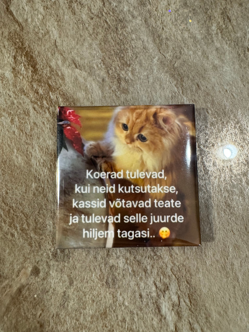 "Koerad tulevad"